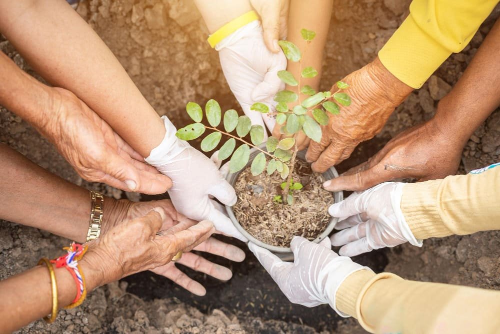 planting