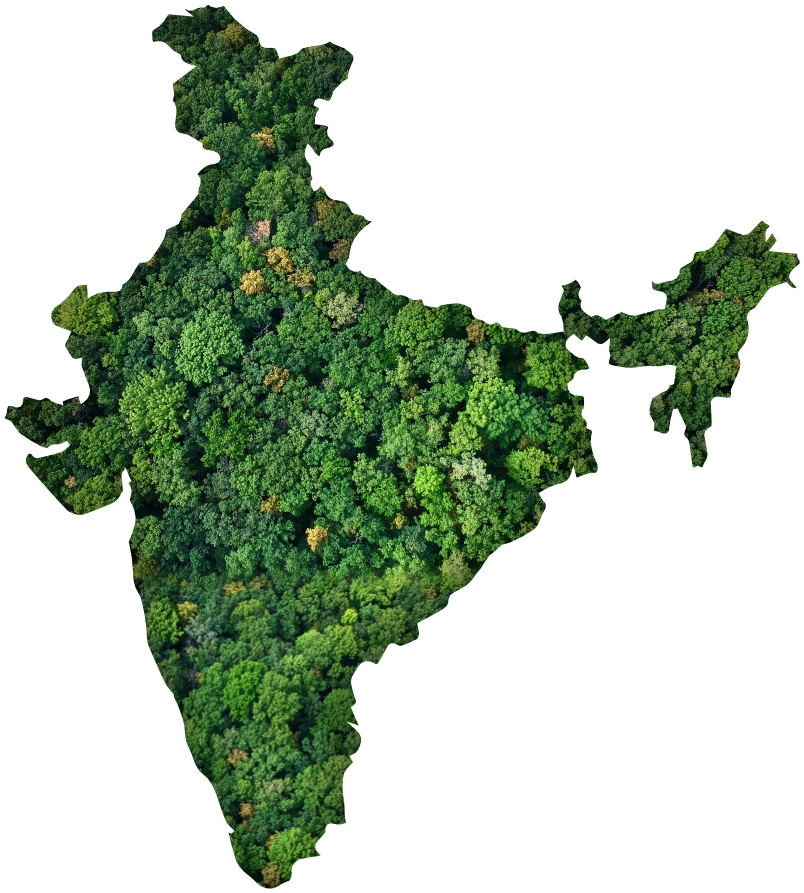 tree-plantaion-in-india