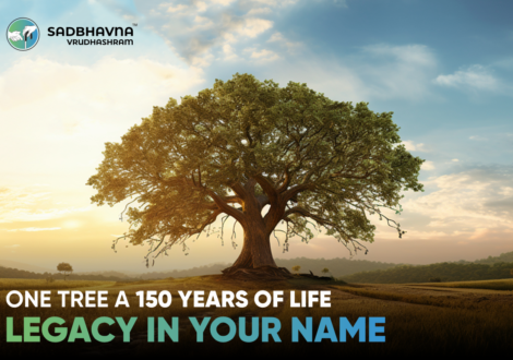 One Tree. 150 Years of Life. A Legacy in Your Name