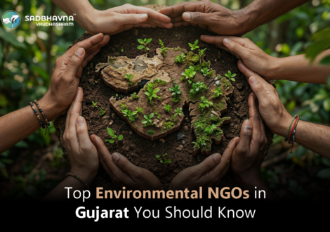 Top Environmental NGOs in Gujarat You Should Know