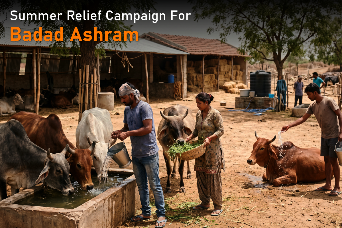 Summer Relief Campaign for Badad Ashram – How You Can Help