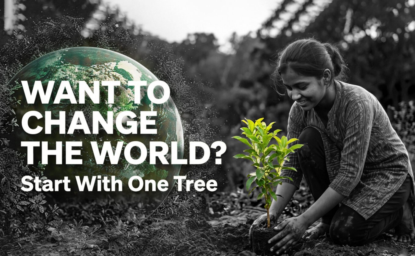 Want to Change the World Start With One Tree