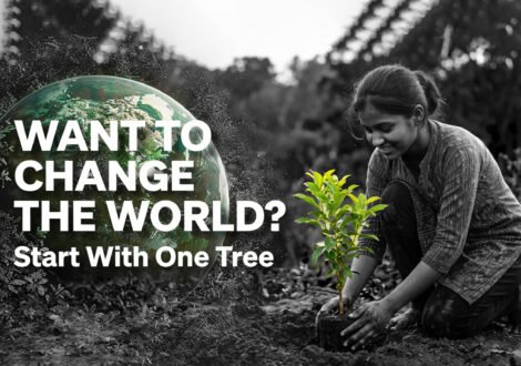 Want to Change the World Start With One Tree
