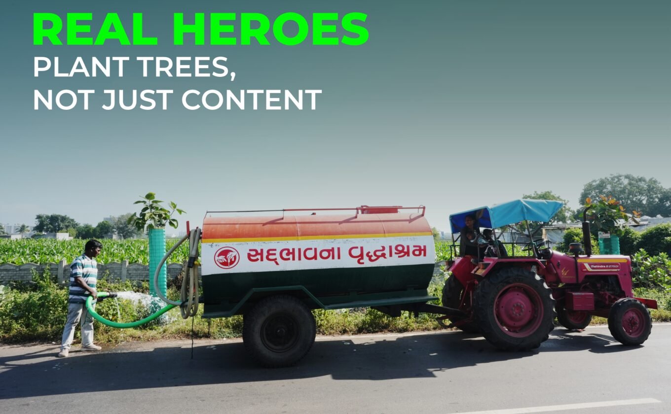 Real Heroes Plant Trees, Not Just Content
