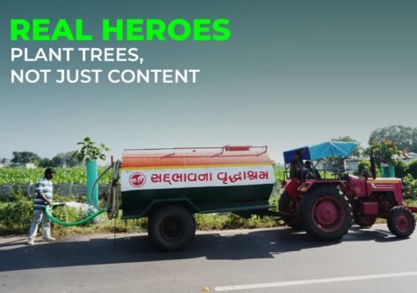 Real Heroes Plant Trees, Not Just Content