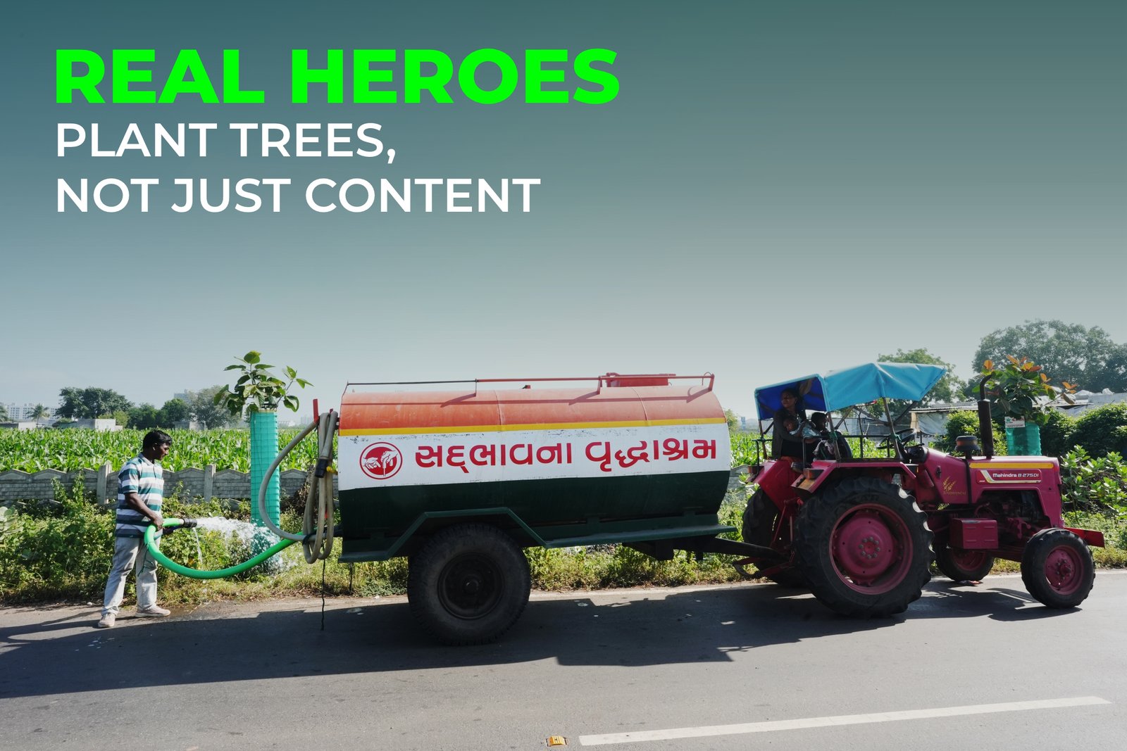 Real Heroes Plant Trees, Not Just Content