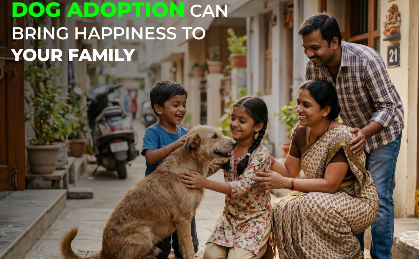 Dog Adoption Can Bring Happiness to Your Family