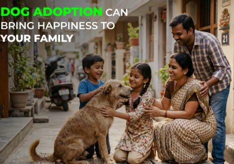 Dog Adoption Can Bring Happiness to Your Family
